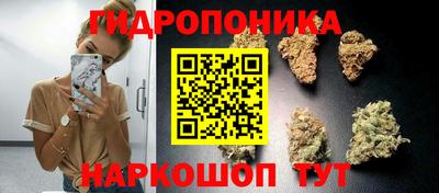 мяу мяу мука Старая Купавна
