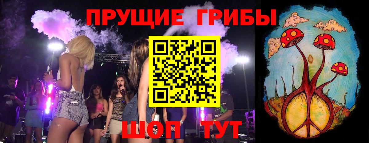 Омск  Псилоцибиновые грибы мицелий  Псилоцибиновые грибы Psilocybe  Вход с VPN 